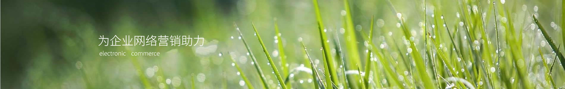 ݸձ޹˾